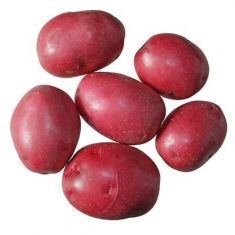 Small Red Potato - 1 LB